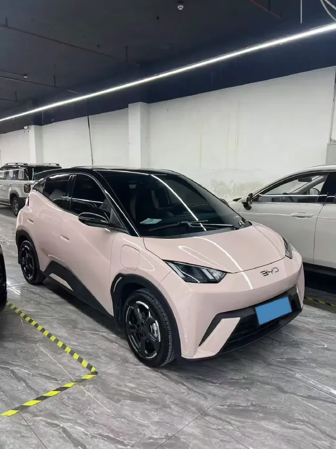 2025 BYD Seagull BEV 30.08KWH,autocango,china used car exporter,china ev exporter,chinese used car exporter,chinese used ev exporter