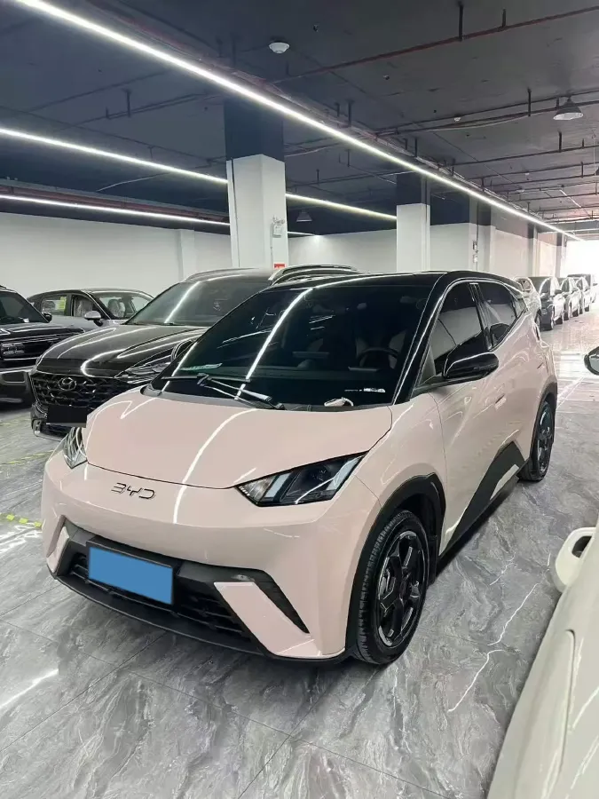 2025 BYD Seagull BEV 30.08KWH,autocango,china used car exporter,china ev exporter,chinese used car exporter,chinese used ev exporter