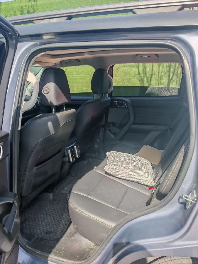 2024 Haval Dargo 2.0T 238HP L4 9DCT,autocango,china used car exporter,china ev exporter,chinese used car exporter,chinese used ev exporter