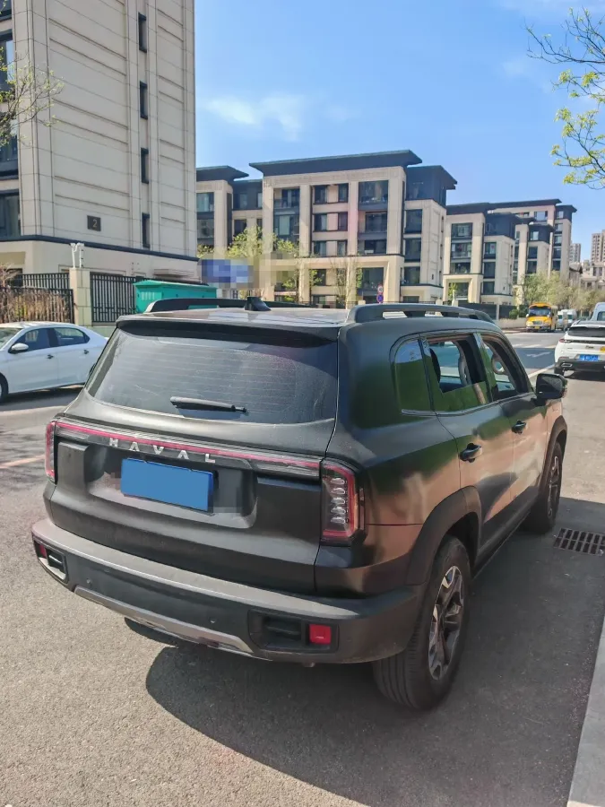 2024 Haval Dargo 2.0T 238HP L4 9DCT,autocango,china used car exporter,china ev exporter,chinese used car exporter,chinese used ev exporter