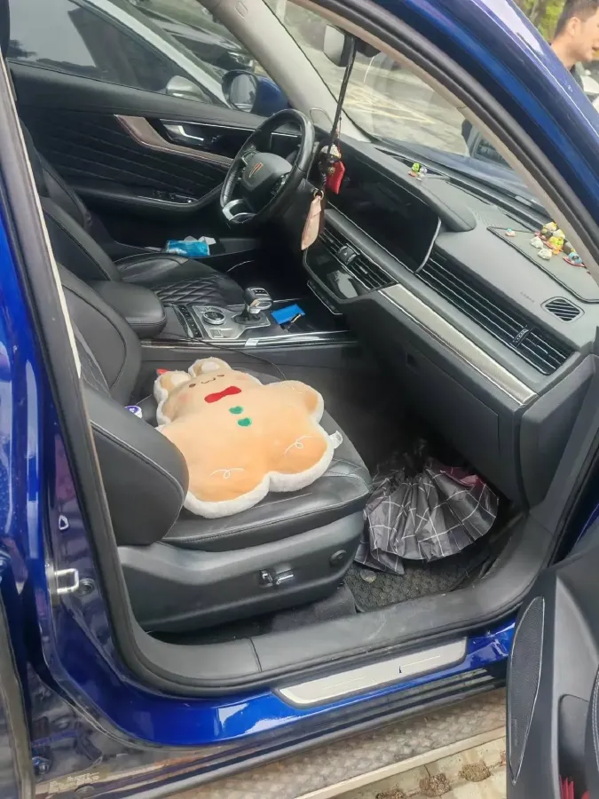 2019 HongQi HS5 2.0T 224HP L4 6AT,autocango,china used car exporter,china ev exporter,chinese used car exporter,chinese used ev exporter