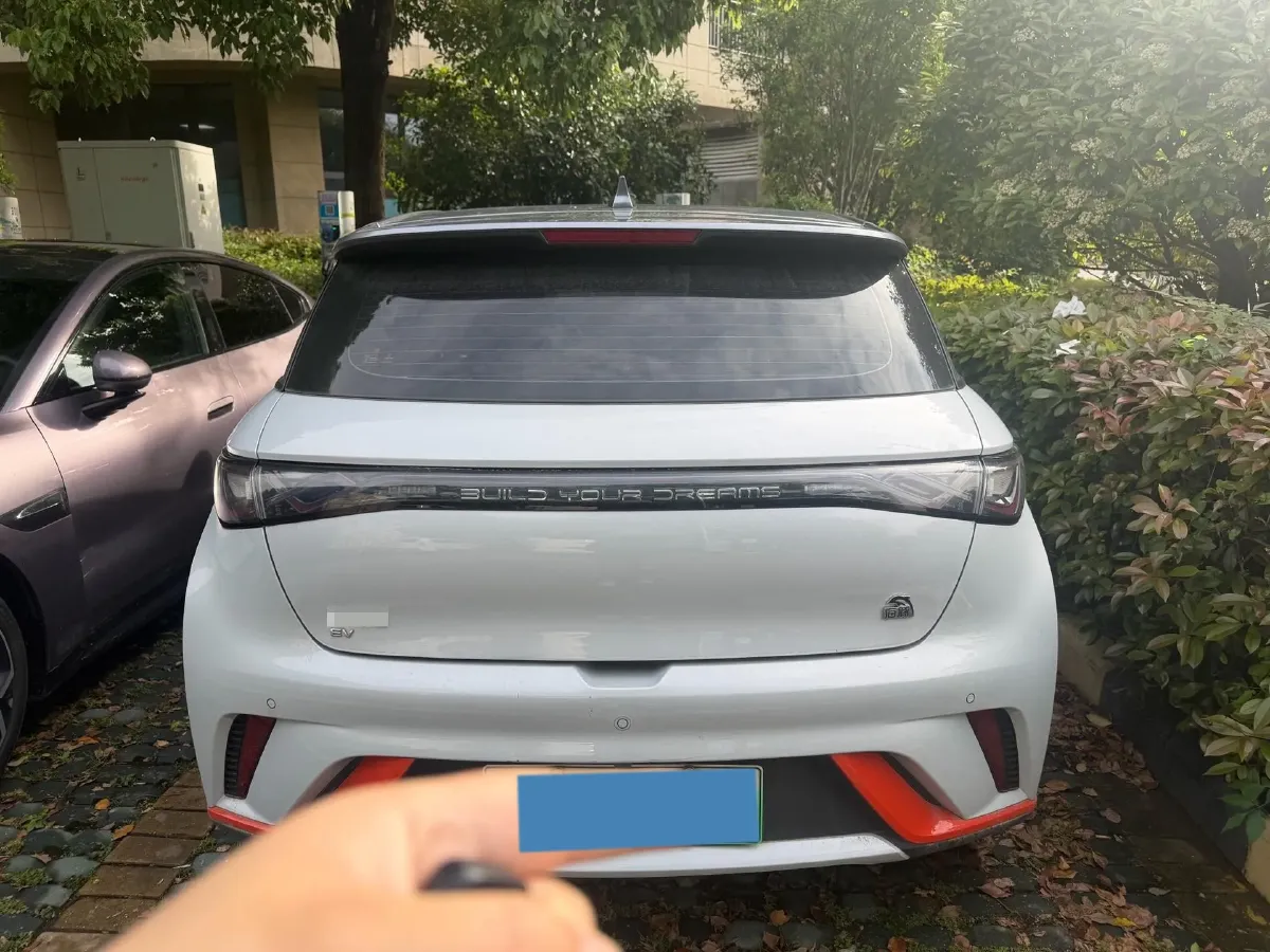 2021 BYD Yuan Pro BEV 50.1KWH,autocango,china used car exporter,china ev exporter,chinese used car exporter,chinese used ev exporter