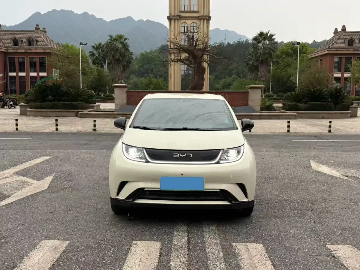 2024 BYD Dolphin BEV 44.928KWH,autocango,china used car exporter,china ev exporter,chinese used car exporter,chinese used ev exporter