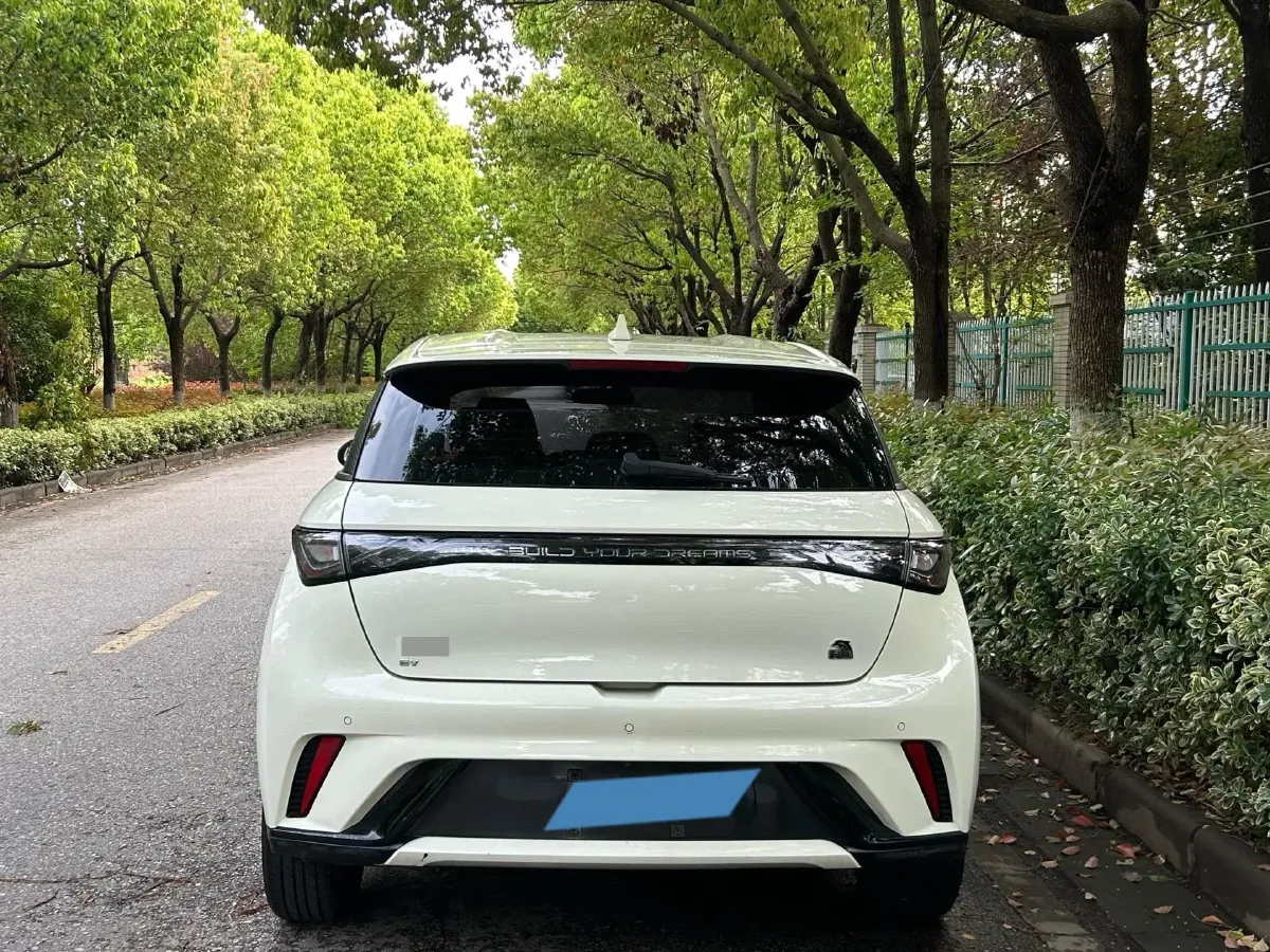2023 BYD Dolphin BEV 44.928KWH,autocango,china used car exporter,china ev exporter,chinese used car exporter,chinese used ev exporter