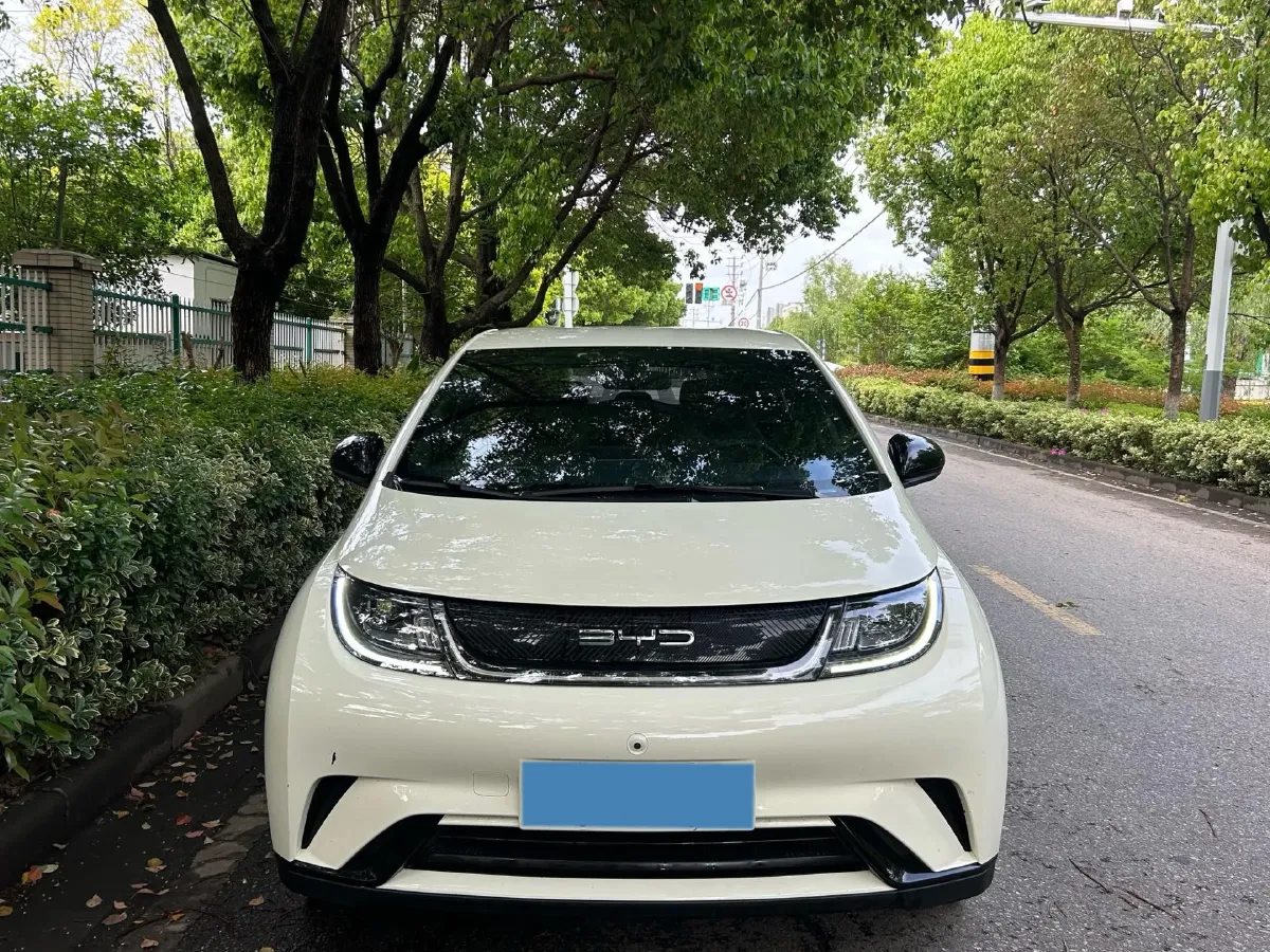 2023 BYD Dolphin BEV 44.928KWH,autocango,china used car exporter,china ev exporter,chinese used car exporter,chinese used ev exporter