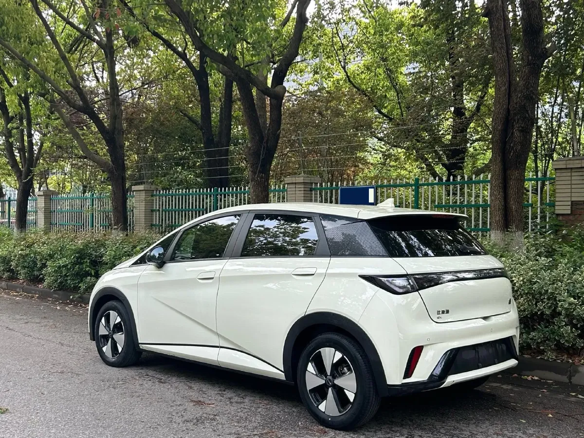 2023 BYD Dolphin BEV 44.928KWH,autocango,china used car exporter,china ev exporter,chinese used car exporter,chinese used ev exporter