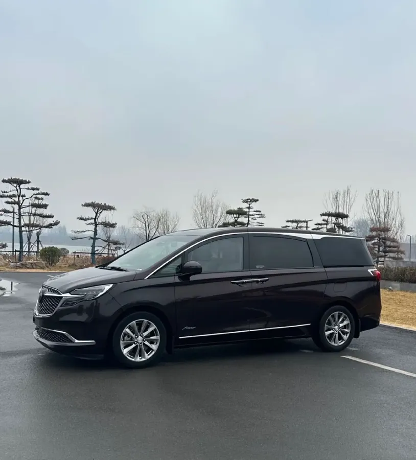 2022 Buick GL8 2.0T 237HP L4 9AT,autocango,china used car exporter,china ev exporter,chinese used car exporter,chinese used ev exporter