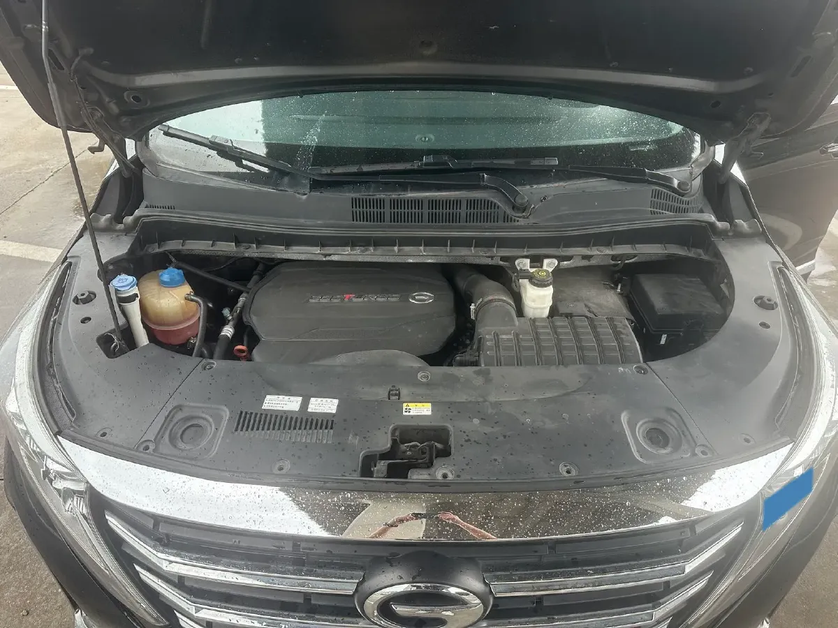 2021 GAC Trumpchi M8 2.0T 252HP L4 8AT,autocango,china used car exporter,china ev exporter,chinese used car exporter,chinese used ev exporter