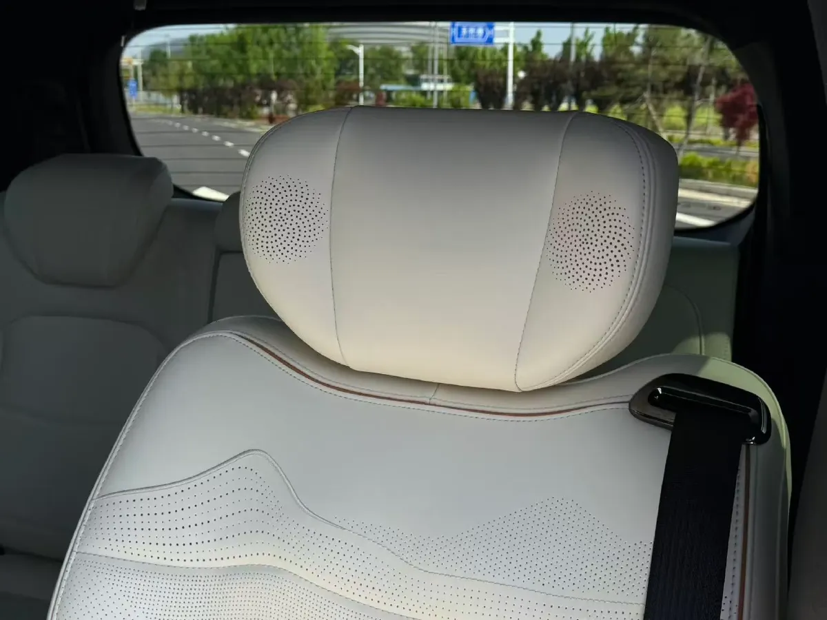 2023 GAC Trumpchi M8 2.0T 190HP L4 E-CVT Hybrid,autocango,china used car exporter,china ev exporter,chinese used car exporter,chinese used ev exporter