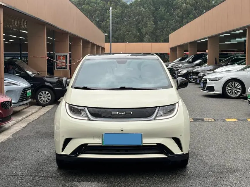 2023 BYD Dolphin BEV 44.928KWH,autocango,china used car exporter,china ev exporter,chinese used car exporter,chinese used ev exporter