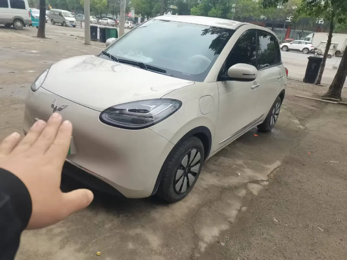 2024 WuLing BinGuo BEV 31.9KWH,autocango,china used car exporter,china ev exporter,chinese used car exporter,chinese used ev exporter