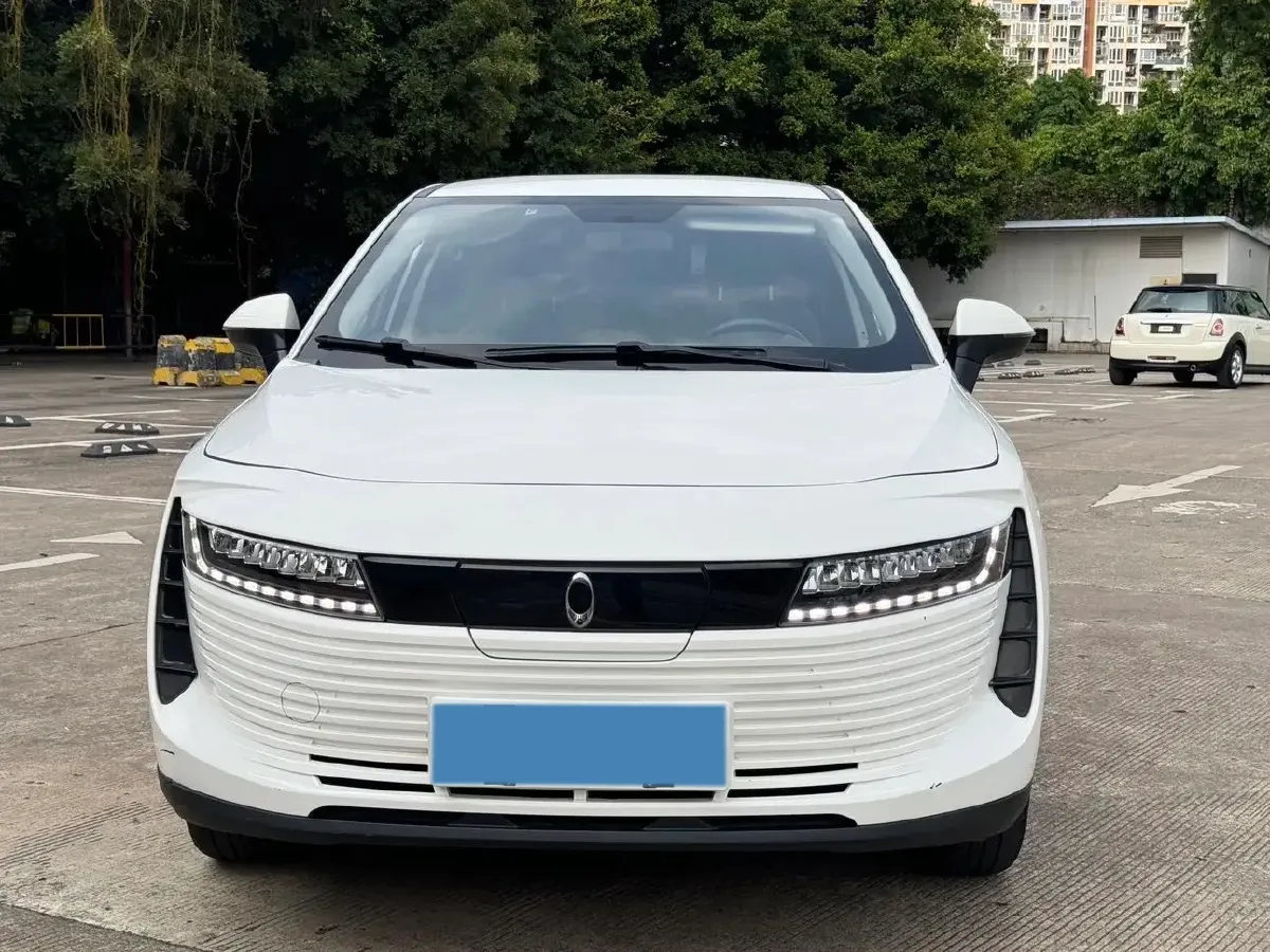 2019 Ora iQ BEV 47KWH,autocango,china used car exporter,china ev exporter,chinese used car exporter,chinese used ev exporter