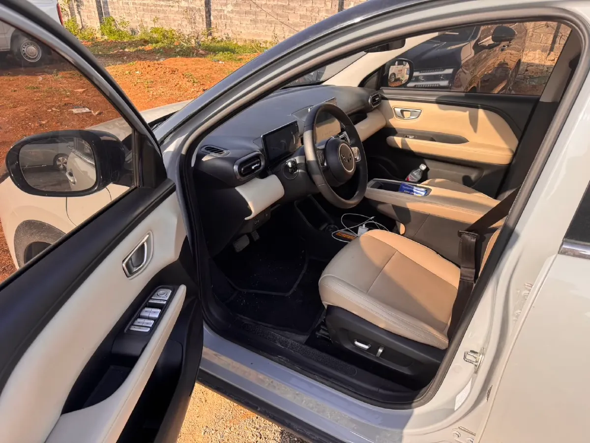 2024 WuLing BinGuoPLUS BEV 50.6KWH,autocango,china used car exporter,china ev exporter,chinese used car exporter,chinese used ev exporter