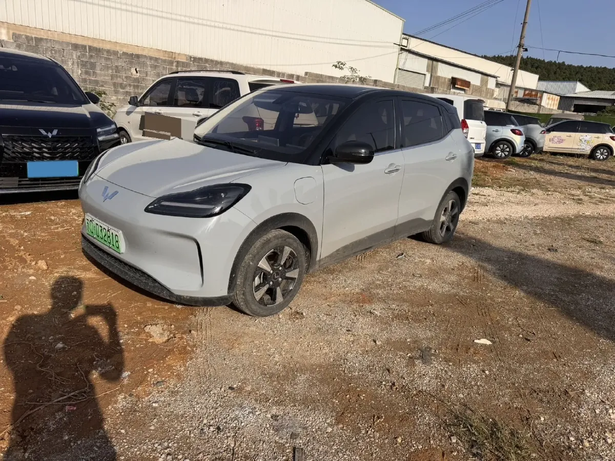 2024 WuLing BinGuoPLUS BEV 50.6KWH,autocango,china used car exporter,china ev exporter,chinese used car exporter,chinese used ev exporter