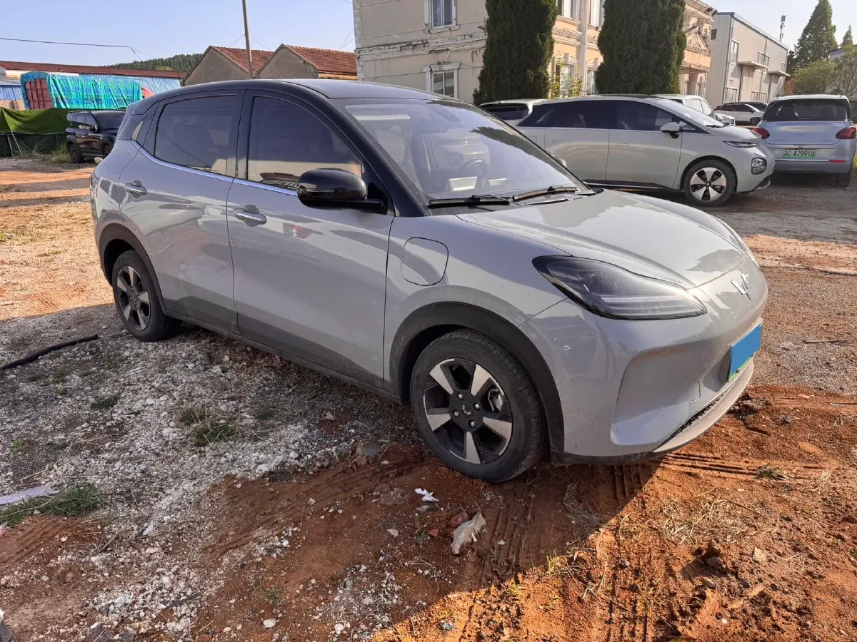 2024 WuLing BinGuoPLUS BEV 50.6KWH,autocango,china used car exporter,china ev exporter,chinese used car exporter,chinese used ev exporter