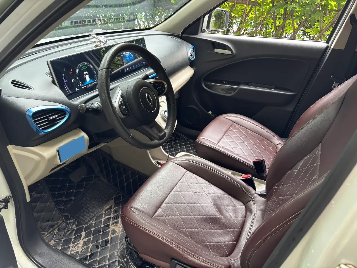 2020 Ora WhiteCat BEV 29.4KWH,autocango,china used car exporter,china ev exporter,chinese used car exporter,chinese used ev exporter