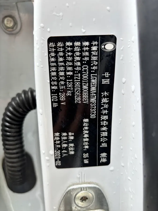 2020 Ora WhiteCat BEV 29.4KWH,autocango,china used car exporter,china ev exporter,chinese used car exporter,chinese used ev exporter