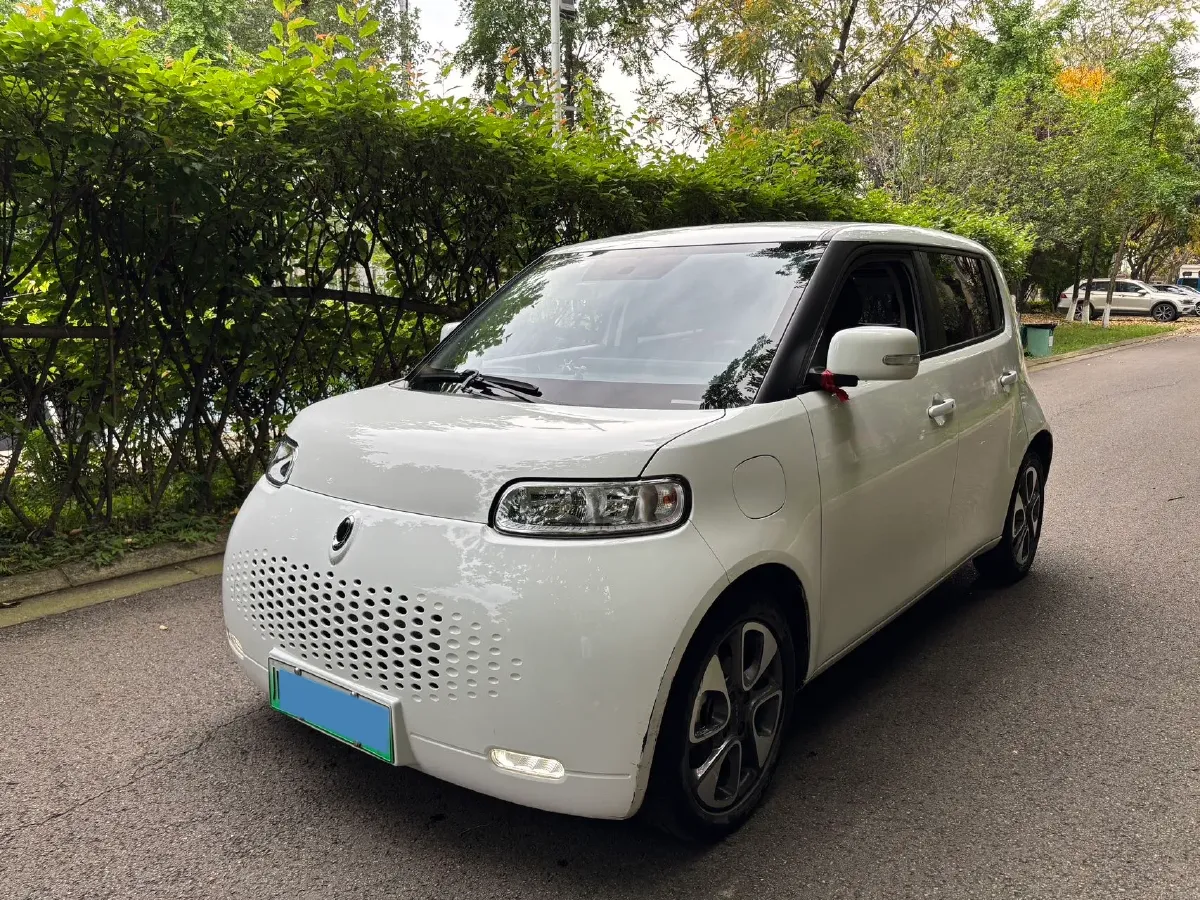 2020 Ora WhiteCat BEV 29.4KWH,autocango,china used car exporter,china ev exporter,chinese used car exporter,chinese used ev exporter