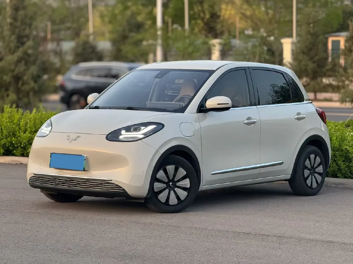2023 WuLing BinGuo BEV 31.9KWH,autocango,china used car exporter,china ev exporter,chinese used car exporter,chinese used ev exporter
