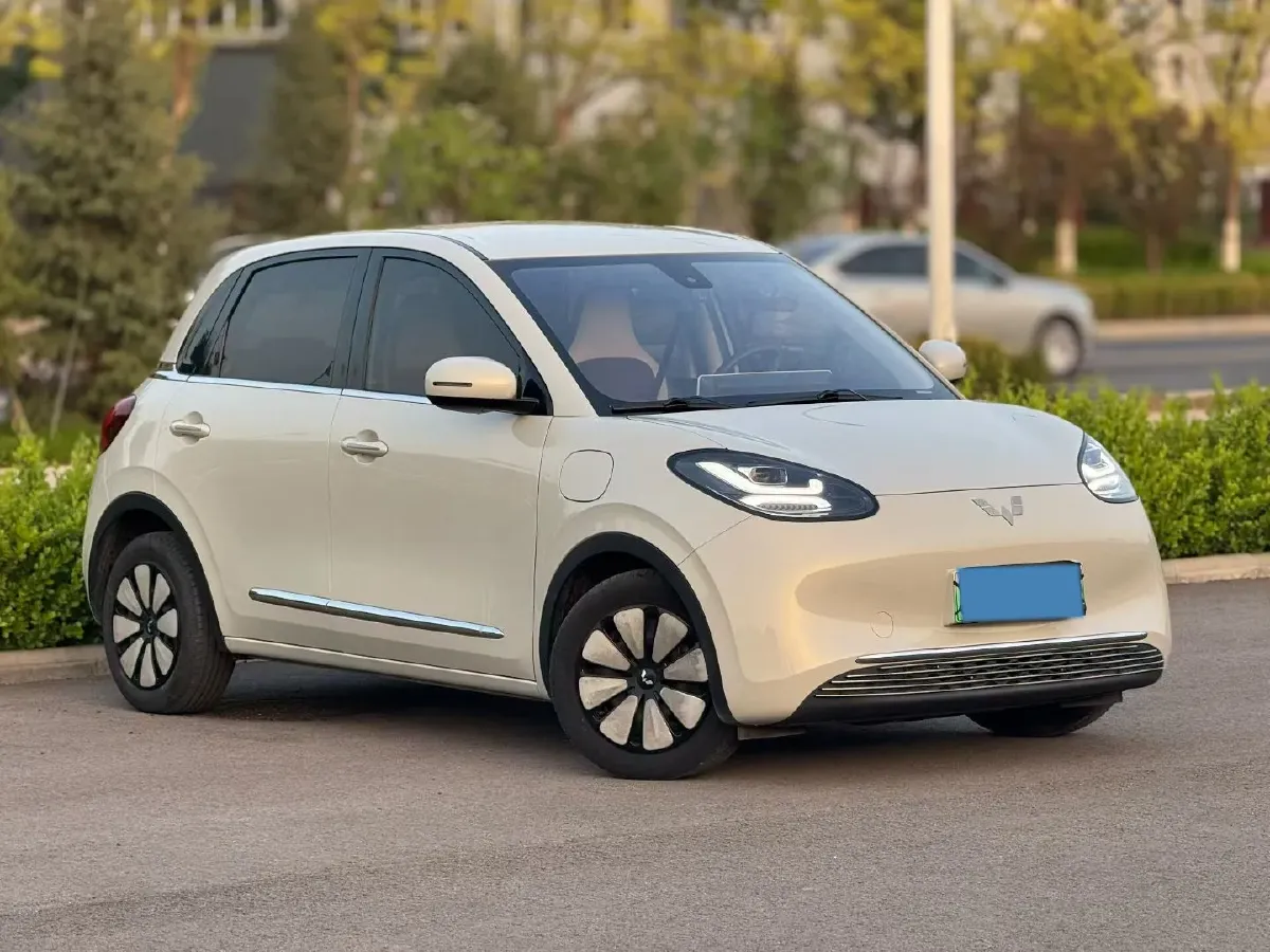 2023 WuLing BinGuo BEV 31.9KWH,autocango,china used car exporter,china ev exporter,chinese used car exporter,chinese used ev exporter