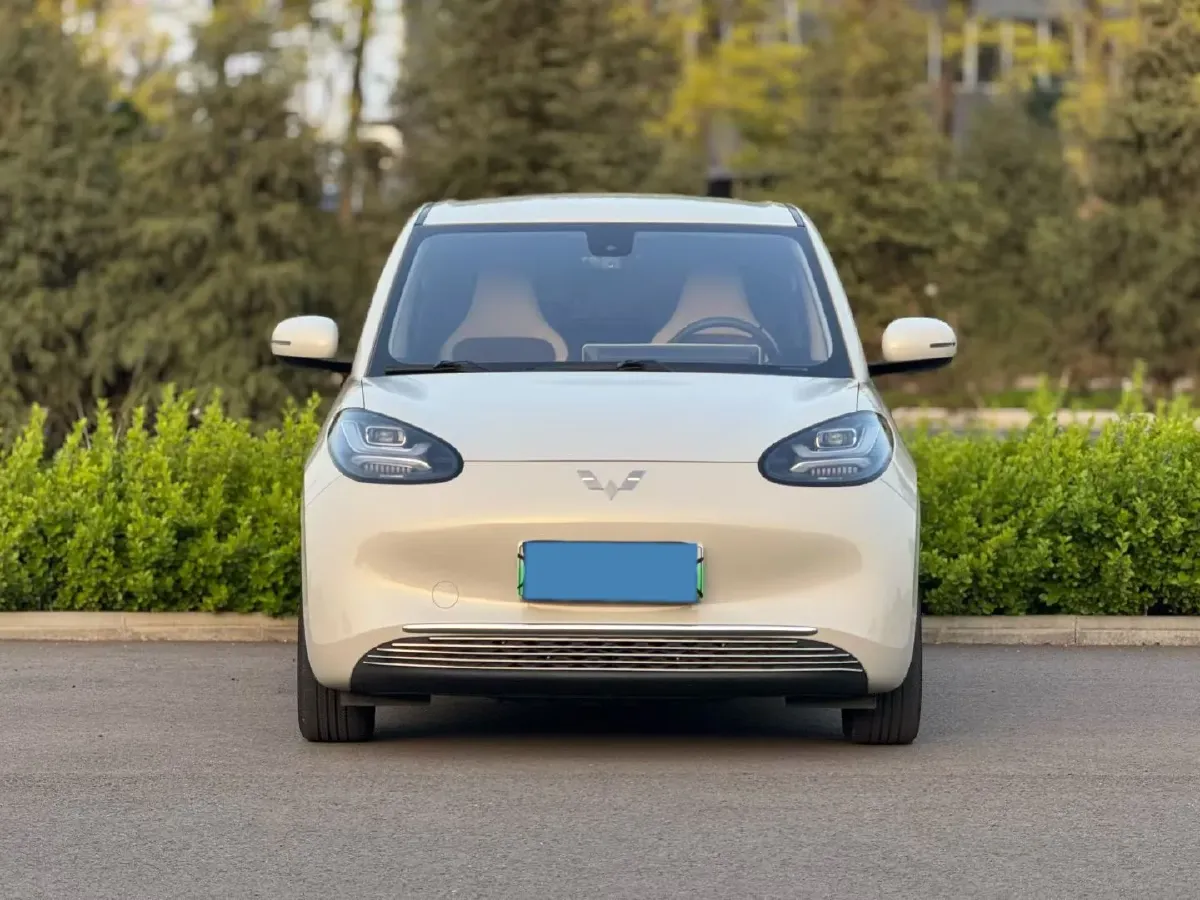 2023 WuLing BinGuo BEV 31.9KWH,autocango,china used car exporter,china ev exporter,chinese used car exporter,chinese used ev exporter