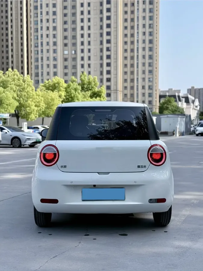 2024 ChangAn QiYuan Lumin BEV 13.41KWH,autocango,china used car exporter,china ev exporter,chinese used car exporter,chinese used ev exporter