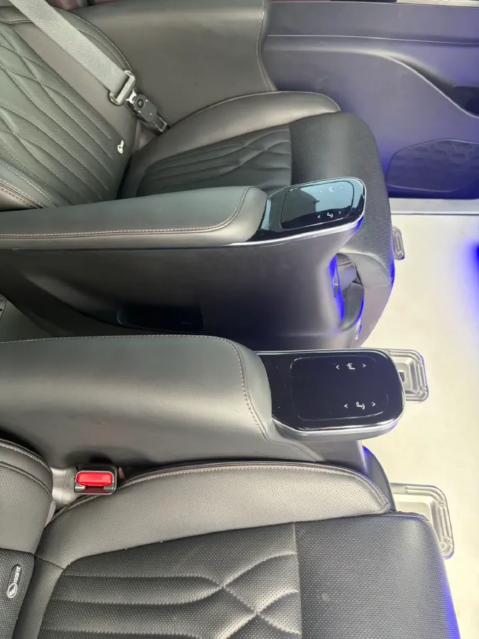 2024 GAC Trumpchi M8 2.0T 190HP L4 2DHT Hybrid,autocango,china used car exporter,china ev exporter,chinese used car exporter,chinese used ev exporter