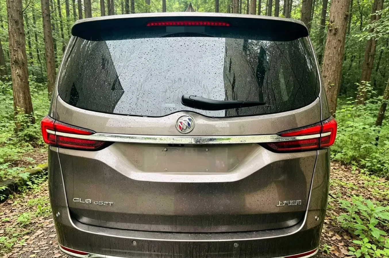 2021 Buick GL8 2.0T 237HP L4 9AT,autocango,china used car exporter,china ev exporter,chinese used car exporter,chinese used ev exporter