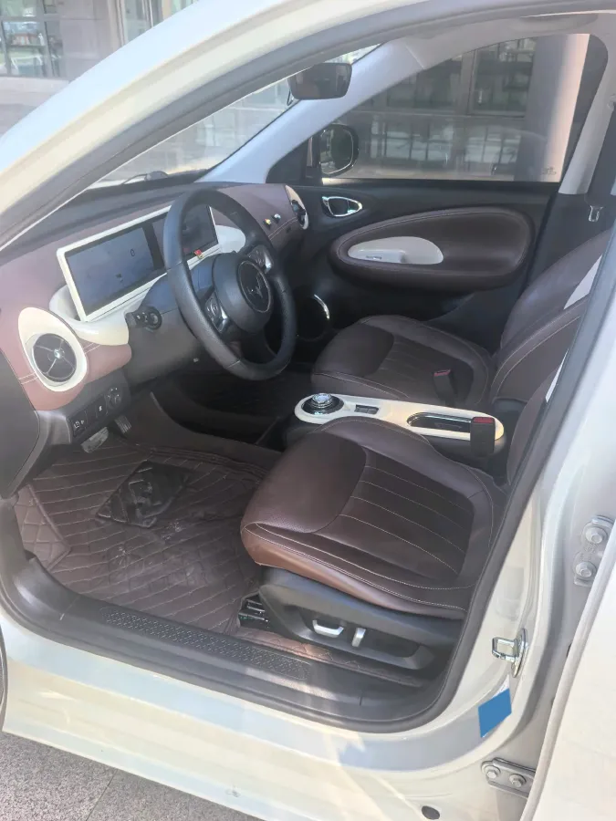 2023 WuLing BinGuo BEV 31.9KWH,autocango,china used car exporter,china ev exporter,chinese used car exporter,chinese used ev exporter