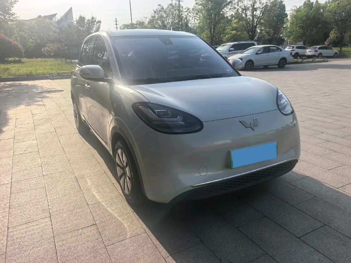 2023 WuLing BinGuo BEV 31.9KWH,autocango,china used car exporter,china ev exporter,chinese used car exporter,chinese used ev exporter