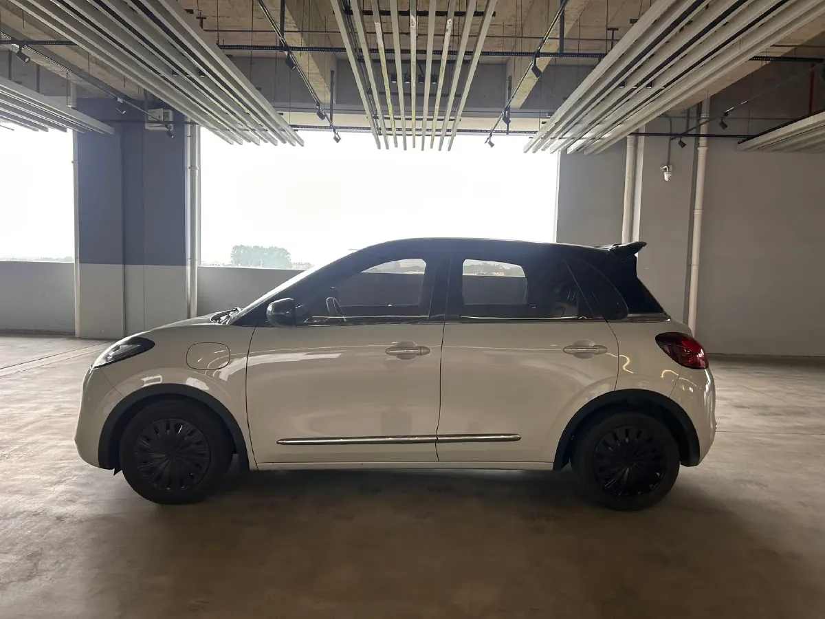 2023 WuLing BinGuo BEV 31.9KWH,autocango,china used car exporter,china ev exporter,chinese used car exporter,chinese used ev exporter