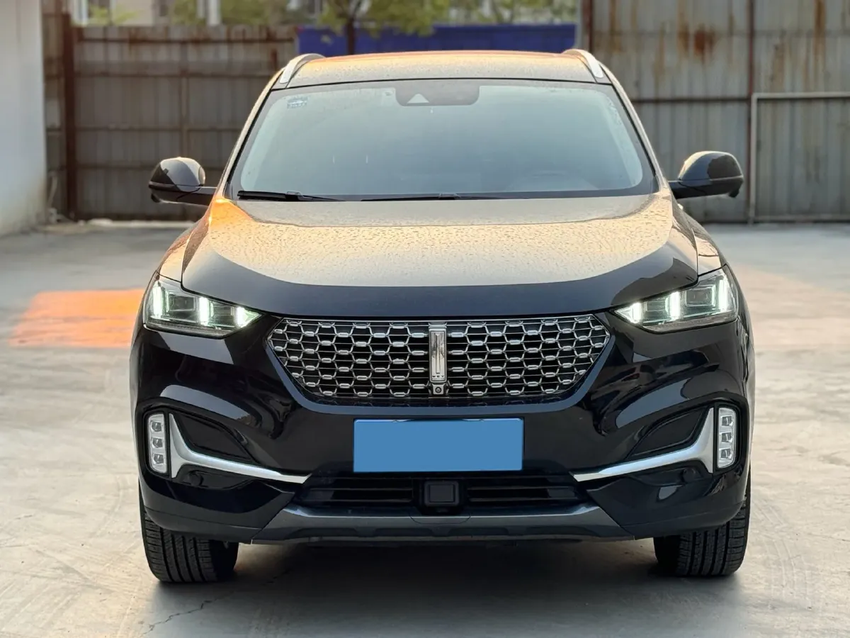 2021 WEY VV6 2.0T 227HP L4 7DCT,autocango,china used car exporter,china ev exporter,chinese used car exporter,chinese used ev exporter