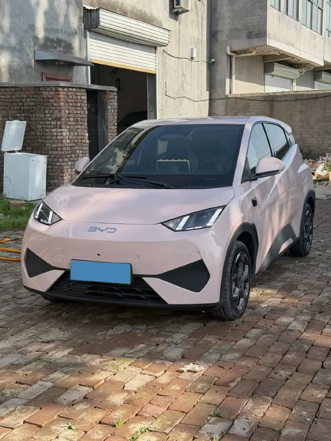 2025 BYD Seagull BEV 30.08KWH,autocango,china used car exporter,china ev exporter,chinese used car exporter,chinese used ev exporter