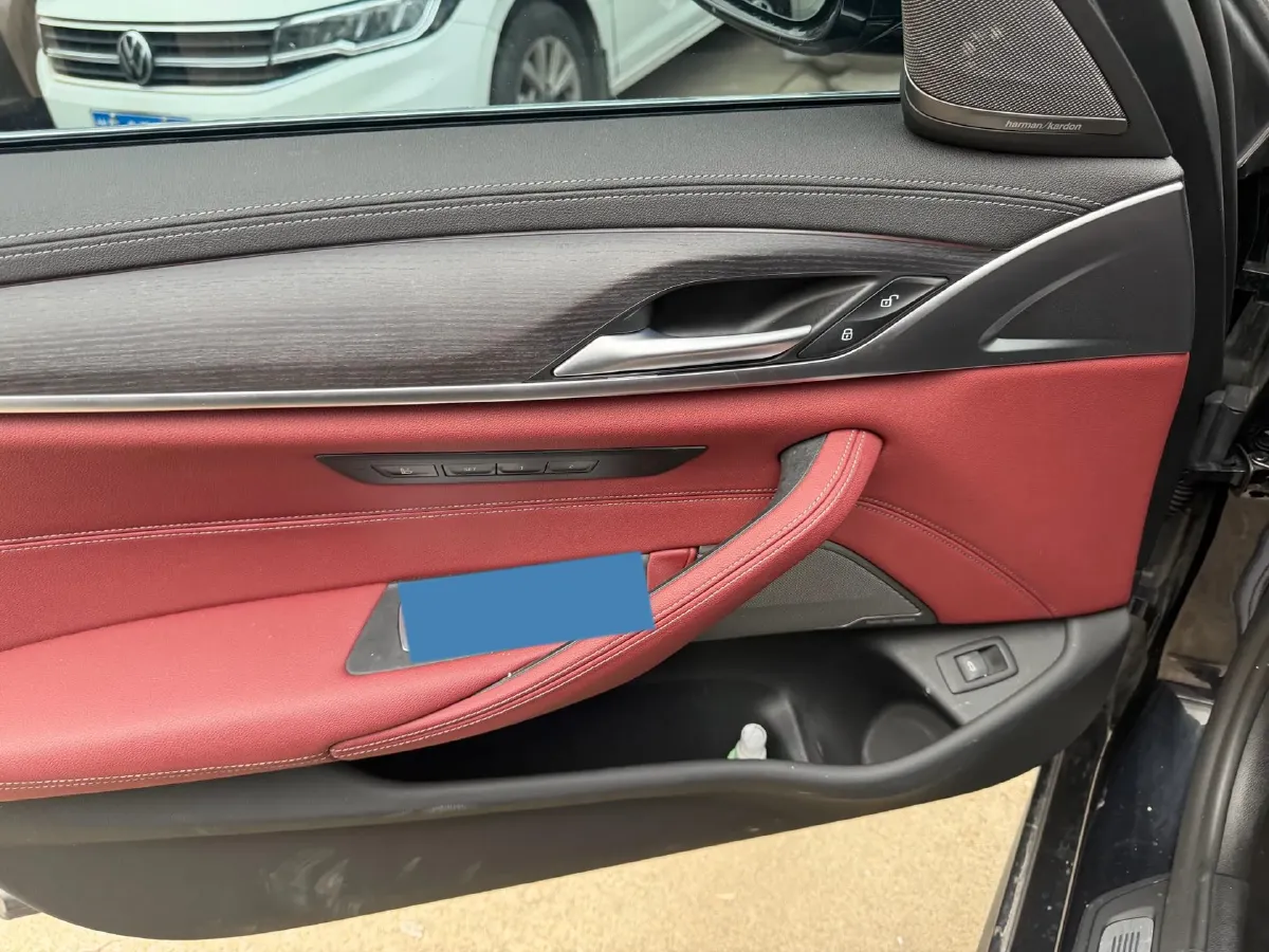 2021 BMW 5 Series 2.0T 252HP L4 8AT,autocango,china used car exporter,china ev exporter,chinese used car exporter,chinese used ev exporter