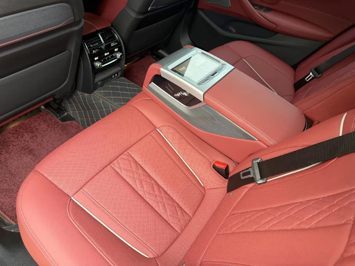 2021 BMW 5 Series 2.0T 252HP L4 8AT,autocango,china used car exporter,china ev exporter,chinese used car exporter,chinese used ev exporter