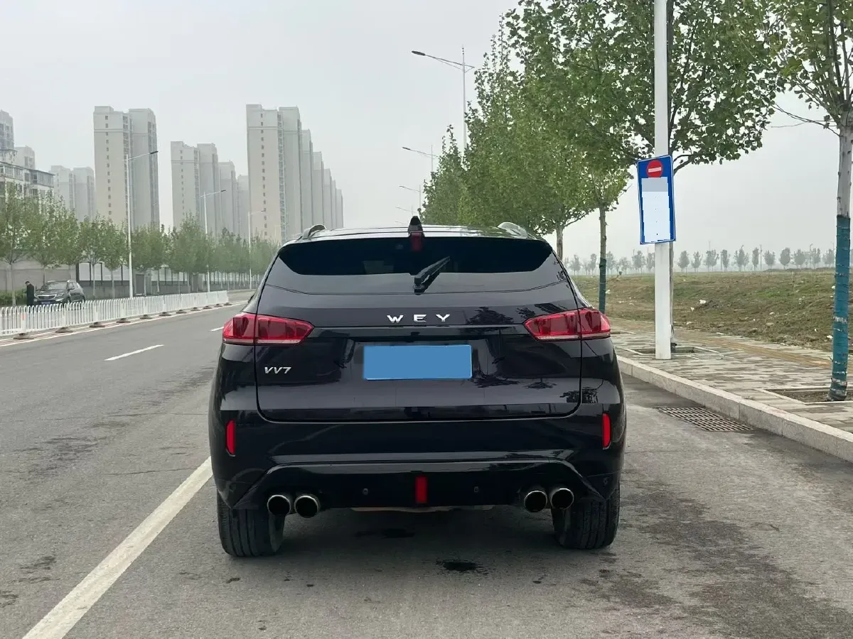 2017 WEY VV7 2.0T 234HP L4 7DCT,autocango,china used car exporter,china ev exporter,chinese used car exporter,chinese used ev exporter