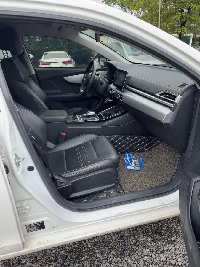 2021 BYD Qin BEV 53.56KWH,autocango,china used car exporter,china ev exporter,chinese used car exporter,chinese used ev exporter