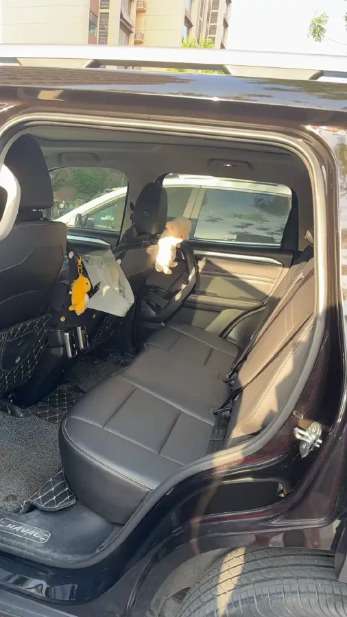 2021 Haval Dargo 1.5T 169HP L4 7DCT,autocango,china used car exporter,china ev exporter,chinese used car exporter,chinese used ev exporter