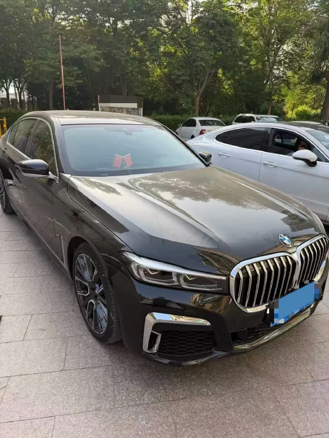 2021 BMW 7 Series 3.0T 340HP L6 8AT,autocango,china used car exporter,china ev exporter,chinese used car exporter,chinese used ev exporter