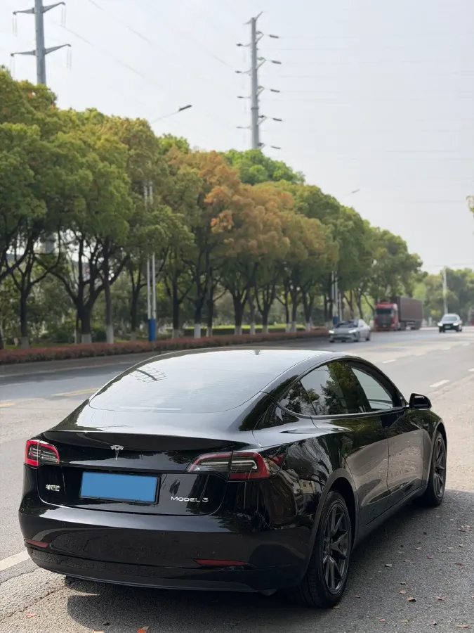 2021 Tesla Model 3 BEV 55KWH,autocango,china used car exporter,china ev exporter,chinese used car exporter,chinese used ev exporter