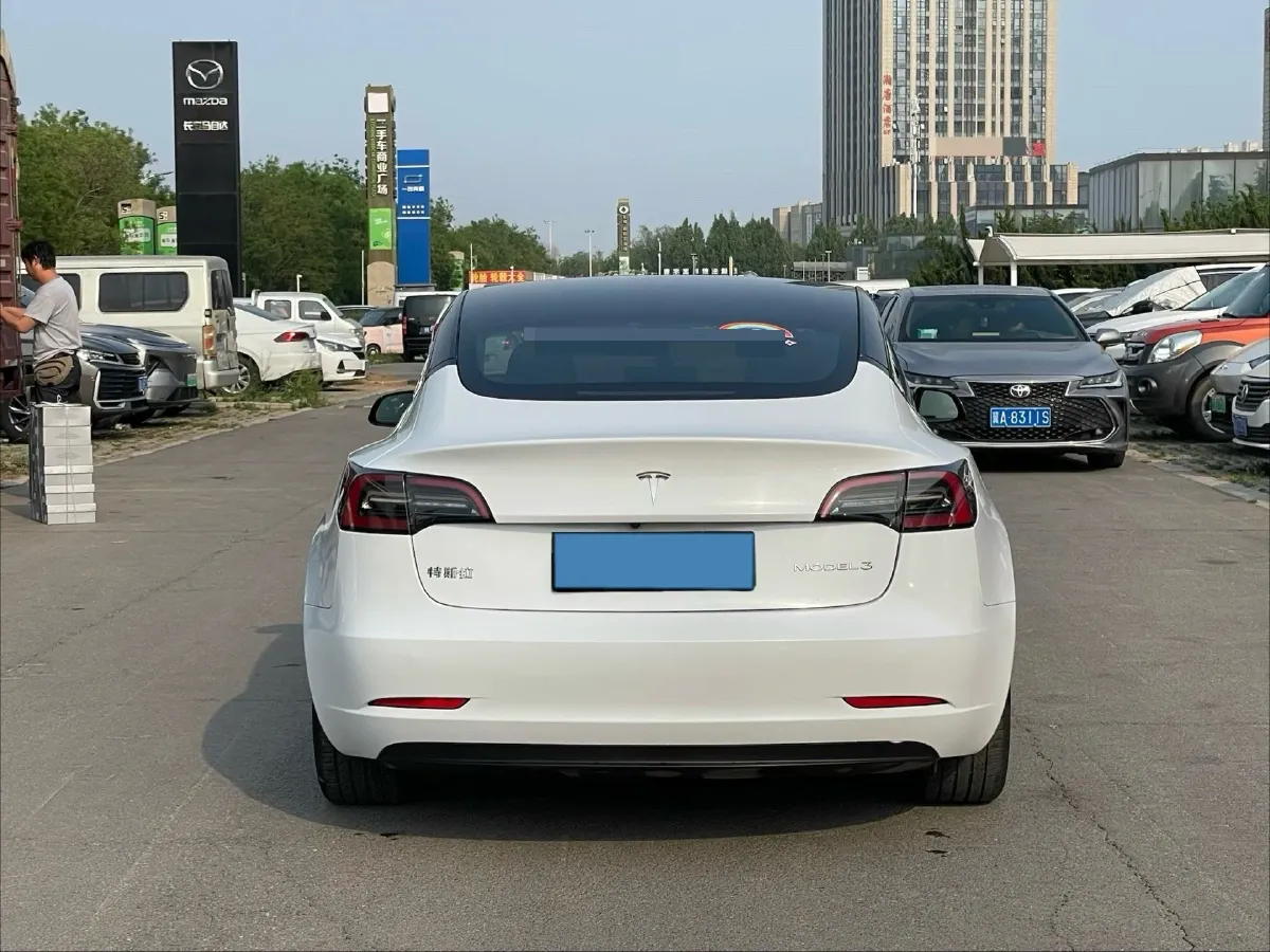 2021 Tesla Model 3 BEV 55KWH,autocango,china used car exporter,china ev exporter,chinese used car exporter,chinese used ev exporter