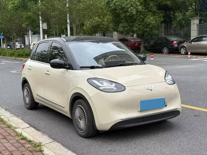 2024 WuLing BinGuo BEV 31.9KWH,autocango,china used car exporter,china ev exporter,chinese used car exporter,chinese used ev exporter