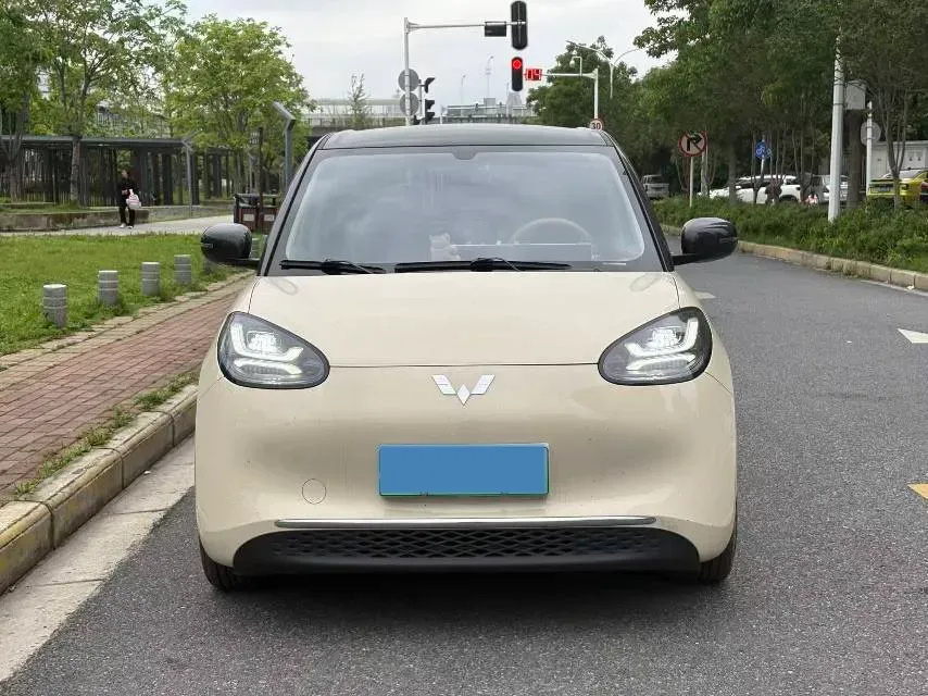 2024 WuLing BinGuo BEV 31.9KWH,autocango,china used car exporter,china ev exporter,chinese used car exporter,chinese used ev exporter