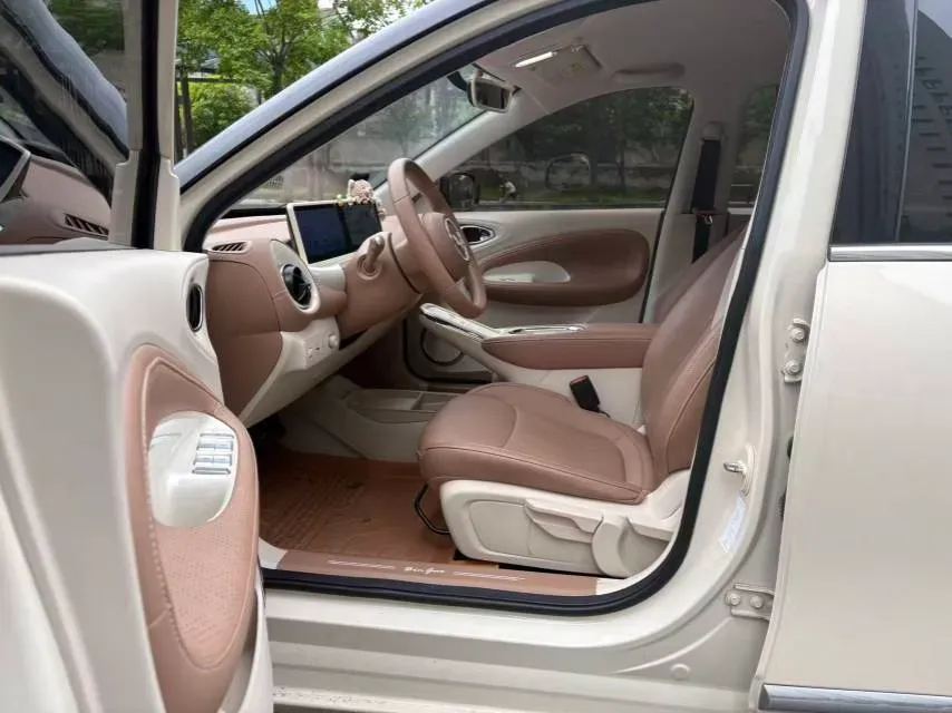 2024 WuLing BinGuo BEV 31.9KWH,autocango,china used car exporter,china ev exporter,chinese used car exporter,chinese used ev exporter