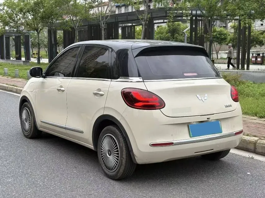 2024 WuLing BinGuo BEV 31.9KWH,autocango,china used car exporter,china ev exporter,chinese used car exporter,chinese used ev exporter