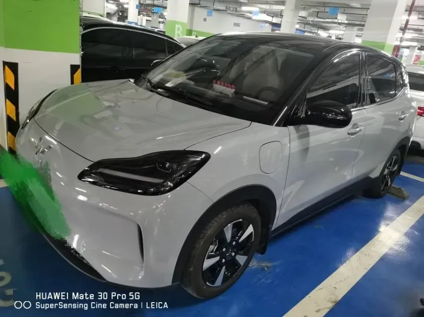 2024 WuLing BinGuoPLUS BEV 50.6KWH,autocango,china used car exporter,china ev exporter,chinese used car exporter,chinese used ev exporter