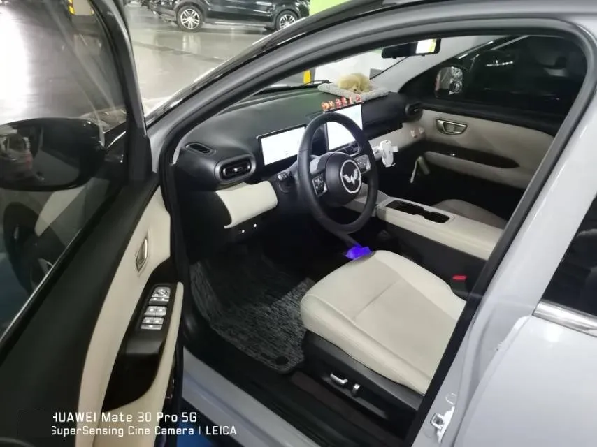 2024 WuLing BinGuoPLUS BEV 50.6KWH,autocango,china used car exporter,china ev exporter,chinese used car exporter,chinese used ev exporter