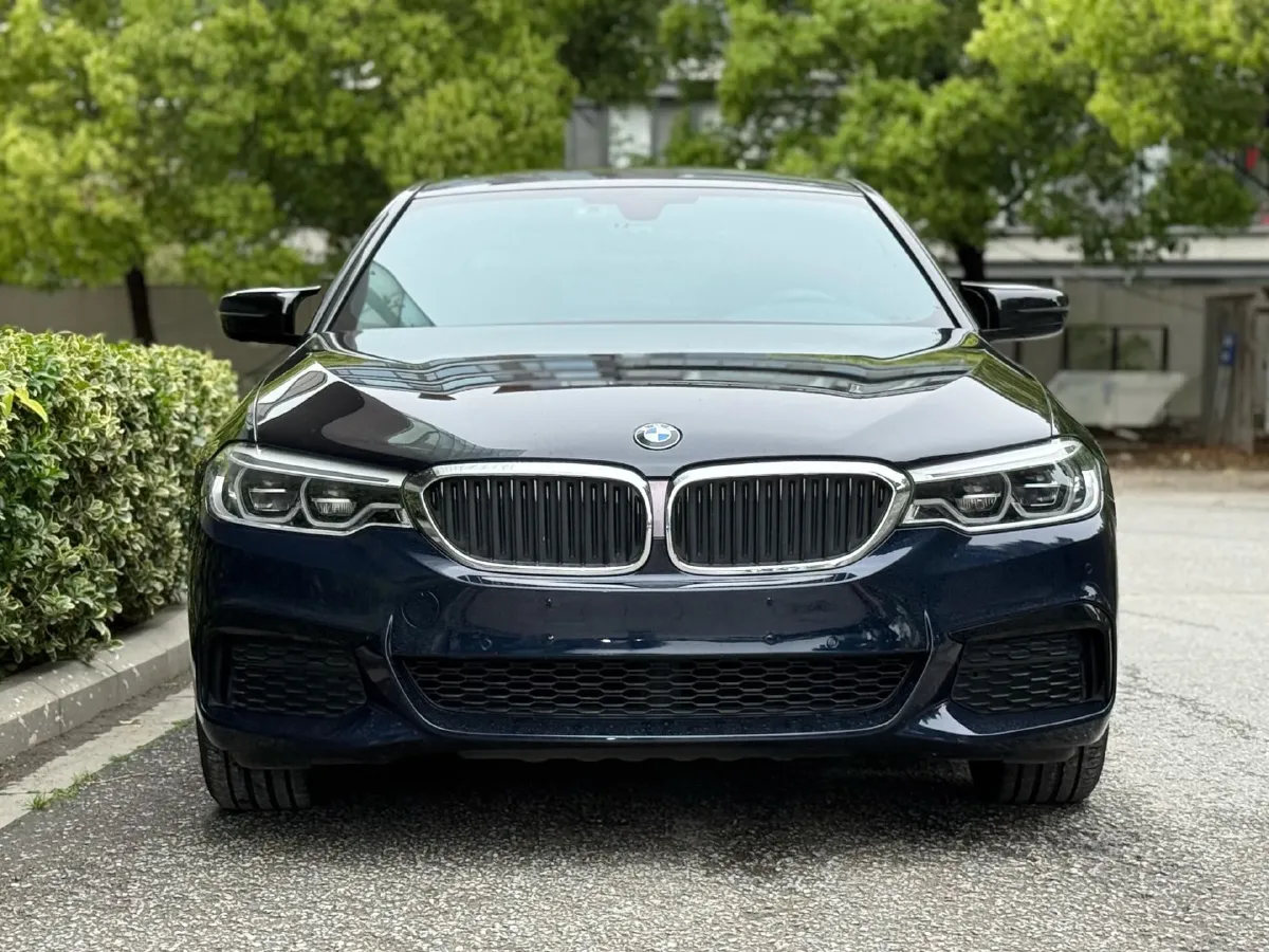 2020 BMW 5 Series 2.0T 252HP L4 8AT,autocango,china used car exporter,china ev exporter,chinese used car exporter,chinese used ev exporter