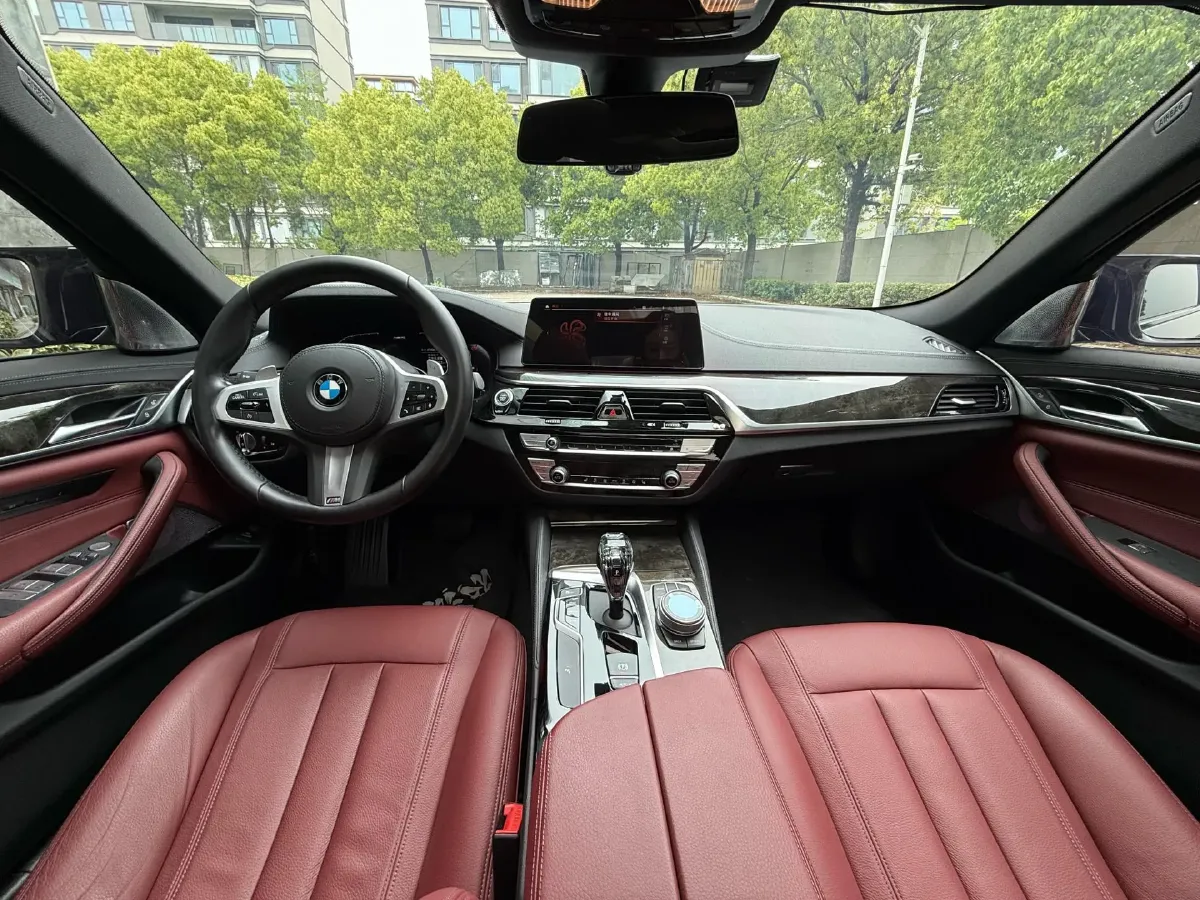 2020 BMW 5 Series 2.0T 252HP L4 8AT,autocango,china used car exporter,china ev exporter,chinese used car exporter,chinese used ev exporter