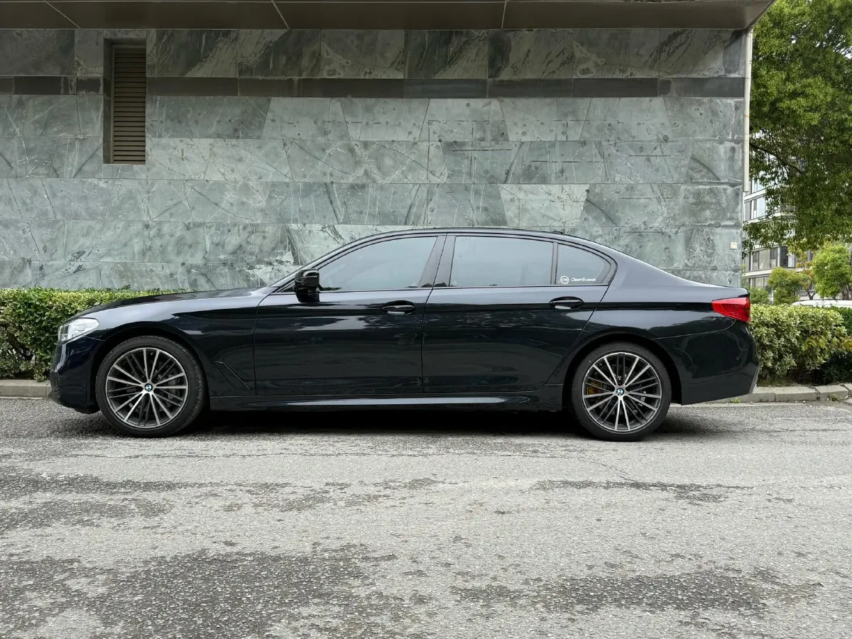 2020 BMW 5 Series 2.0T 252HP L4 8AT,autocango,china used car exporter,china ev exporter,chinese used car exporter,chinese used ev exporter